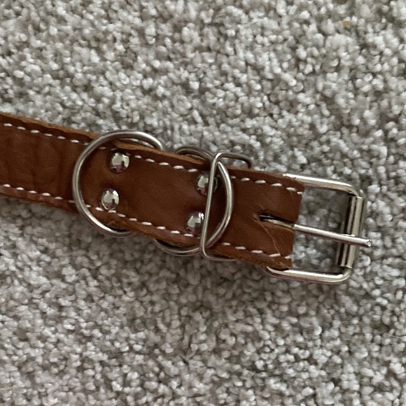 NEW set of leather 2 collar + leash - Picture 11 of 15